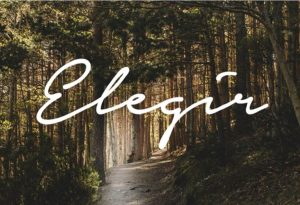 Blog Tehuelche - Elegir - choice